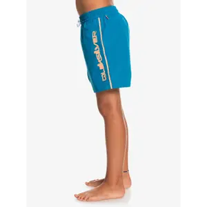 Children's swimming shorts Quiksilver Everyday Vert Volley 14 image-3