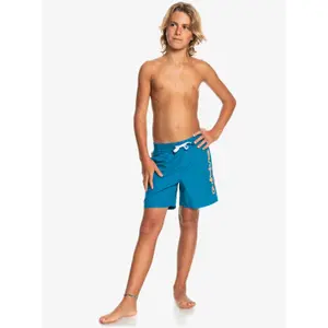Children's swimming shorts Quiksilver Everyday Vert Volley 14 image-4