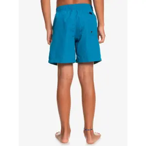 Children's swimming shorts Quiksilver Everyday Vert Volley 14 image-5