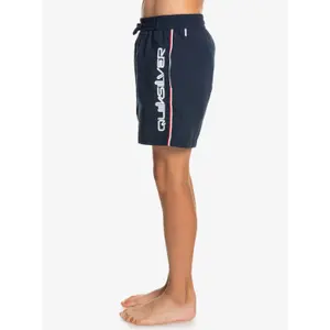 Children's swimming shorts Quiksilver Everyday Vert Volley 14 image-3