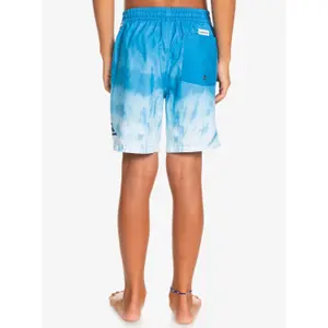 Children's swimming shorts Quiksilver Everyday Faded Logo Vl image-5