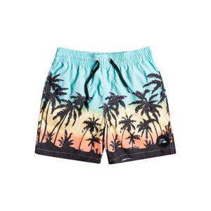 Pantaloncini da bagno per bambini Quiksilver Everyday Paradise Vl image-0