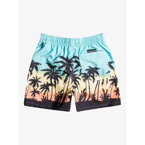 Pantaloncini da bagno per bambini Quiksilver Everyday Paradise Vl image-1