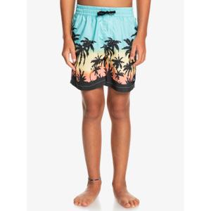 Pantaloncini da bagno per bambini Quiksilver Everyday Paradise Vl image-2