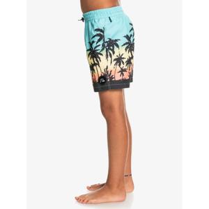 Pantaloncini da bagno per bambini Quiksilver Everyday Paradise Vl image-3