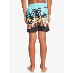 Pantaloncini da bagno per bambini Quiksilver Everyday Paradise Vl image-5