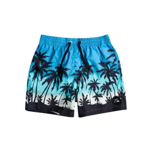 Children's swimming shorts Quiksilver Everyday Paradise Vl image-0