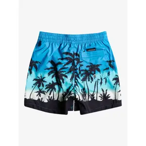 Children's swimming shorts Quiksilver Everyday Paradise Vl image-1