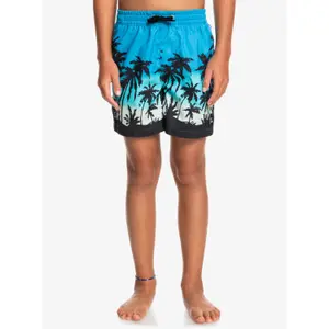 Children's swimming shorts Quiksilver Everyday Paradise Vl image-2