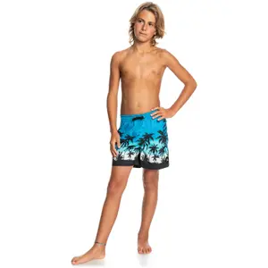 Children's swimming shorts Quiksilver Everyday Paradise Vl image-4