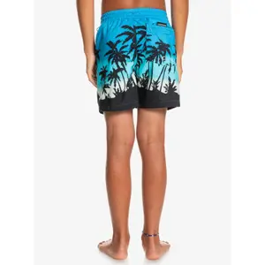 Children's swimming shorts Quiksilver Everyday Paradise Vl image-5