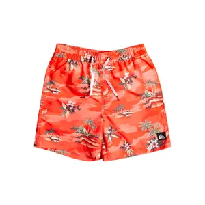 Children's swimming shorts Quiksilver Everyday Scenic Volley image-0