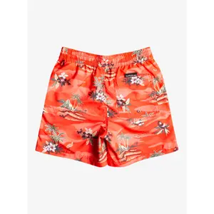 Children's swimming shorts Quiksilver Everyday Scenic Volley image-1