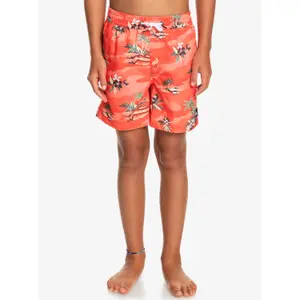 Children's swimming shorts Quiksilver Everyday Scenic Volley image-2