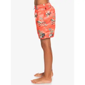 Children's swimming shorts Quiksilver Everyday Scenic Volley image-3