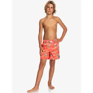 Children's swimming shorts Quiksilver Everyday Scenic Volley image-4