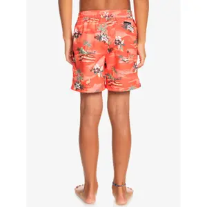 Children's swimming shorts Quiksilver Everyday Scenic Volley image-5