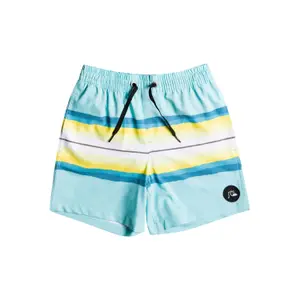 Kid's tinted resin swim shorts Quiksilver Pcs Volley 14 image-0