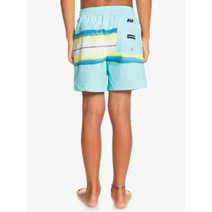 Kid's tinted resin swim shorts Quiksilver Pcs Volley 14 image-5