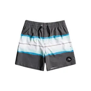 Kid's tinted resin swim shorts Quiksilver Pcs Volley 14 image-0