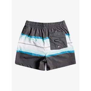 Kid's tinted resin swim shorts Quiksilver Pcs Volley 14 image-1