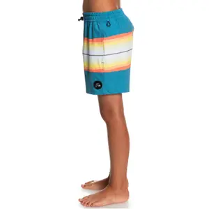 Kid's tinted resin swim shorts Quiksilver Pcs Volley 14 image-3