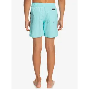 Children's swimming shorts Quiksilver Ocean Beach Please 14 image-5