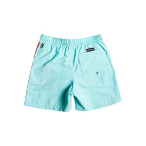 Children's swimming shorts Quiksilver Ocean Beach Please 14 image-1