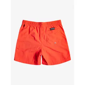 Children's swimming shorts Quiksilver Ocean Beach Please 14 image-1
