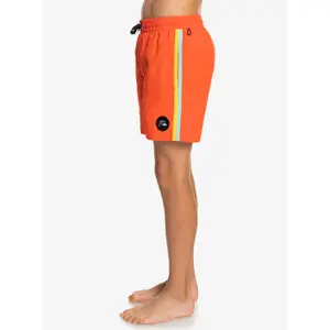 Children's swimming shorts Quiksilver Ocean Beach Please 14 image-3