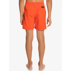 Children's swimming shorts Quiksilver Ocean Beach Please 14 image-5