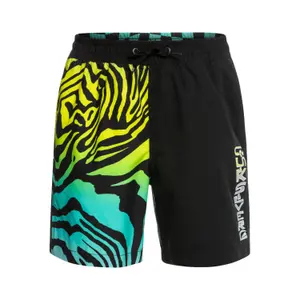 Children's shorts Quiksilver Radical Time Volley 14Nb image-0