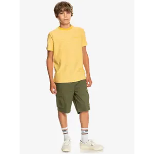 Child's T-shirt Quiksilver Kentin image-5
