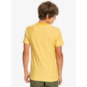 Child's T-shirt Quiksilver Kentin image-6