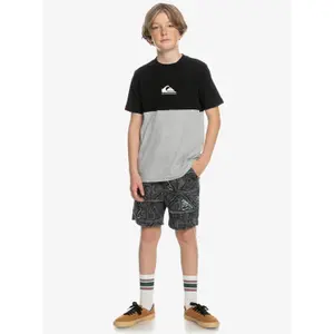 Child's T-shirt Quiksilver Essential Block image-5
