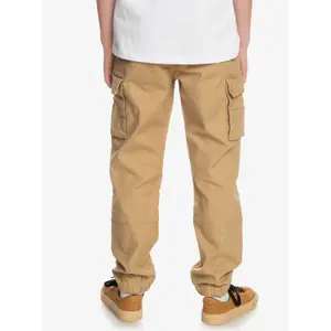 Children's cargo pants Quiksilver Back To image-6