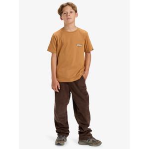 Child's cord trousers Quiksilver Taxer image-5