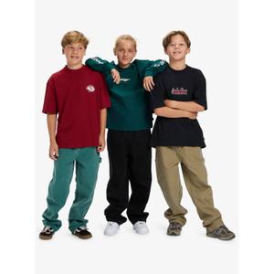 Children's cargo Trousers Quiksilver Mercury image-5