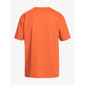 Short sleeve t-shirt Quiksilver Solid Streak image-1