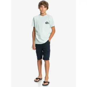 Children's shorts Quiksilver Crucial Battle image-6