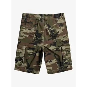 Children's shorts Quiksilver Crucial Battle image-1