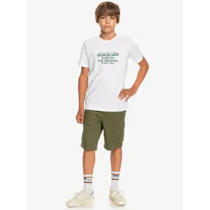 Children's shorts Quiksilver Crucial Battle image-6