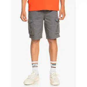 Children's shorts Quiksilver Crucial Battle image-2