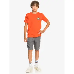 Children's shorts Quiksilver Crucial Battle image-6