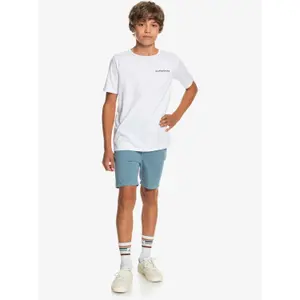 Children's chino shorts Quiksilver Krandy image-6