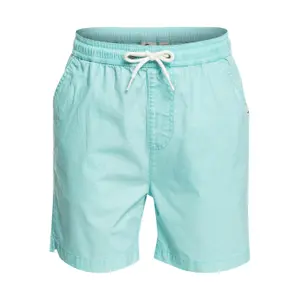 Children's swimming shorts Quiksilver Taxer Ws image-0