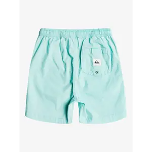 Children's swimming shorts Quiksilver Taxer Ws image-2
