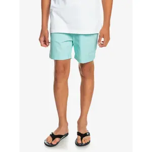 Children's swimming shorts Quiksilver Taxer Ws image-3