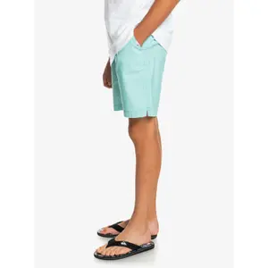 Children's swimming shorts Quiksilver Taxer Ws image-4