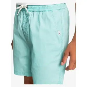 Children's swimming shorts Quiksilver Taxer Ws image-5